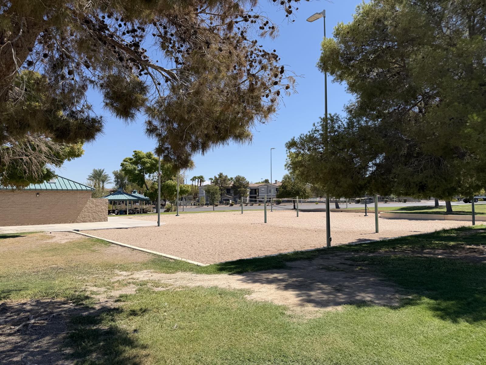 Sand volleyball courts shaded by mature pine trees at Desert Bloom Park in Southeast Las Vegas